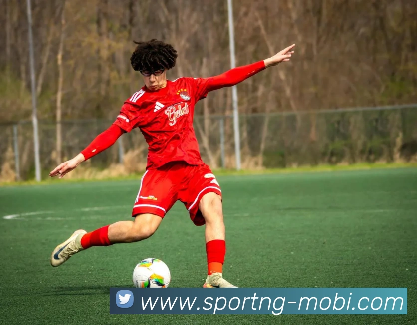 南宫体育平台生态图