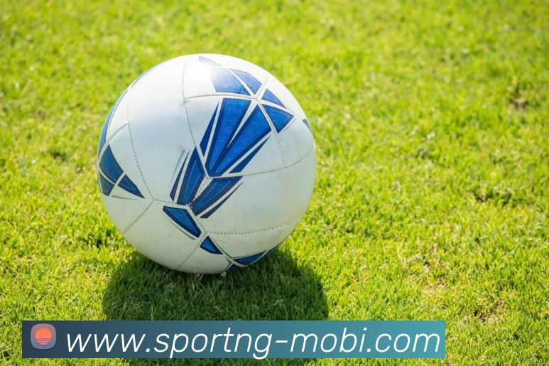 南宫体育APP 封面图